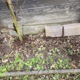 StrauchAbgeschnitten 2026-02-20 16.16.